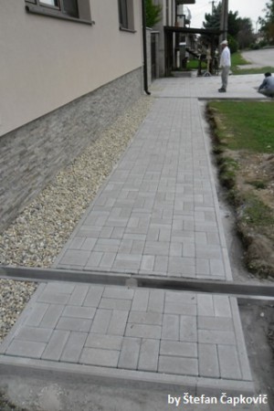 Okolie RD v obci Naháč 